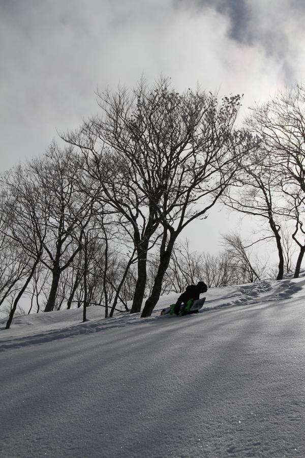 Powder Temple Hotel Hakuba Buitenkant foto